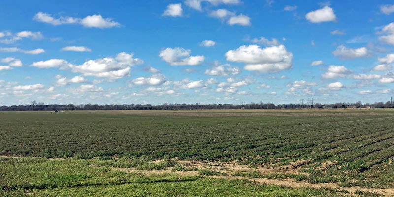 Indianola Industrial Park